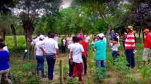 Trabajo en campo