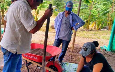 Productores de maracuyá mejoran su tecnología en Suaza