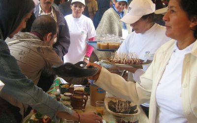 Primer festival de agrobiodiversidad en la Provincia de Márquez
