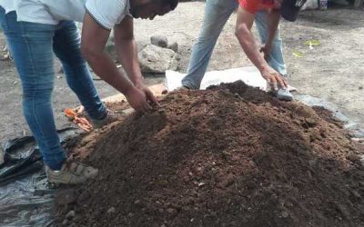 La agricultura ecológica, una alternativa para los pequeños productores