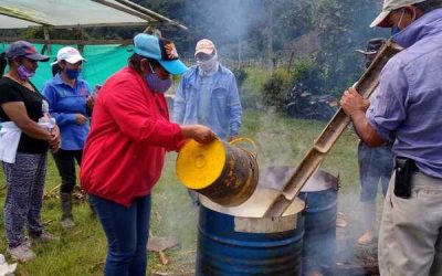 Producción sostenible de pasifloras en La Argentina, Huila