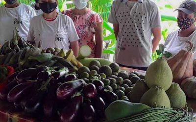 Campesinos de la vereda Malagana se agrupan para identificar sus valores y la sostenibilidad alimentaria