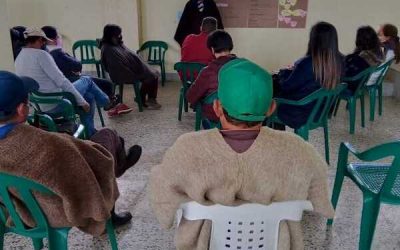 Tubérculos andinos, identidad y alimento campesino