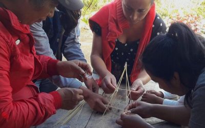 La discapacidad no es impedimento para hacer el cambio