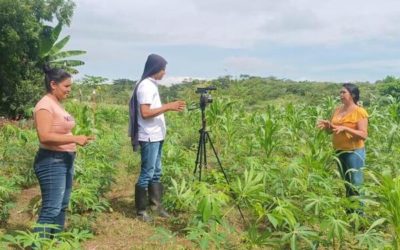 Mujeres producen yuca para la cerveza Nativa