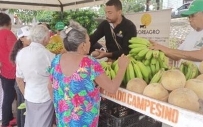 Mercados campesinos, una estrategia de comercialización del proyecto Manos al Campo